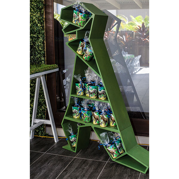 dinosaur shelf aldi